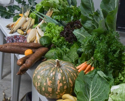 Mostra de produtos da agricultura familiar dos associados